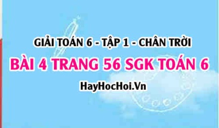 Giải bài 4 trang 56 Toán 6 Tập 1 SGK Chân trời sáng tạo